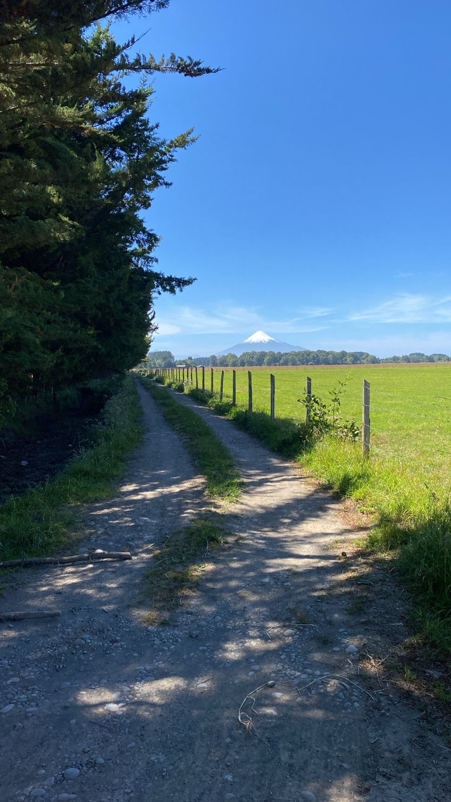 Oportunidad exclusiva: Campo ganadero de 82,5 hectáreas en venta en Puerto Octay, sector Nochaco!